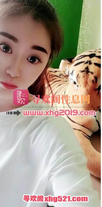 191146q63p0z3306w35wo3.png