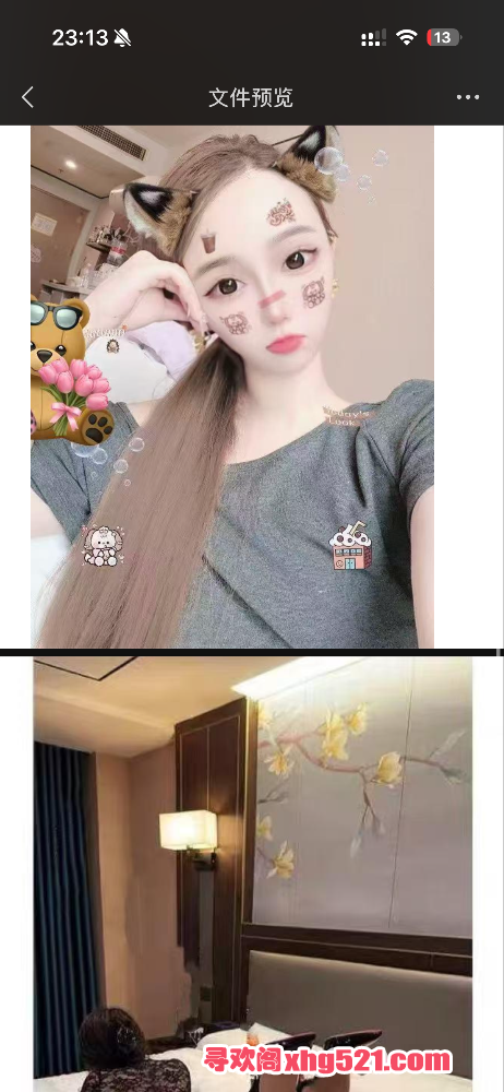 231702t31e3e163u6b5vub.png