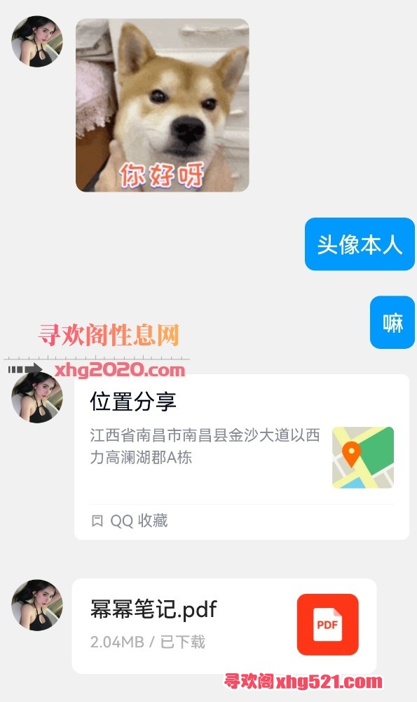 145350terdyysyifzief37.jpg