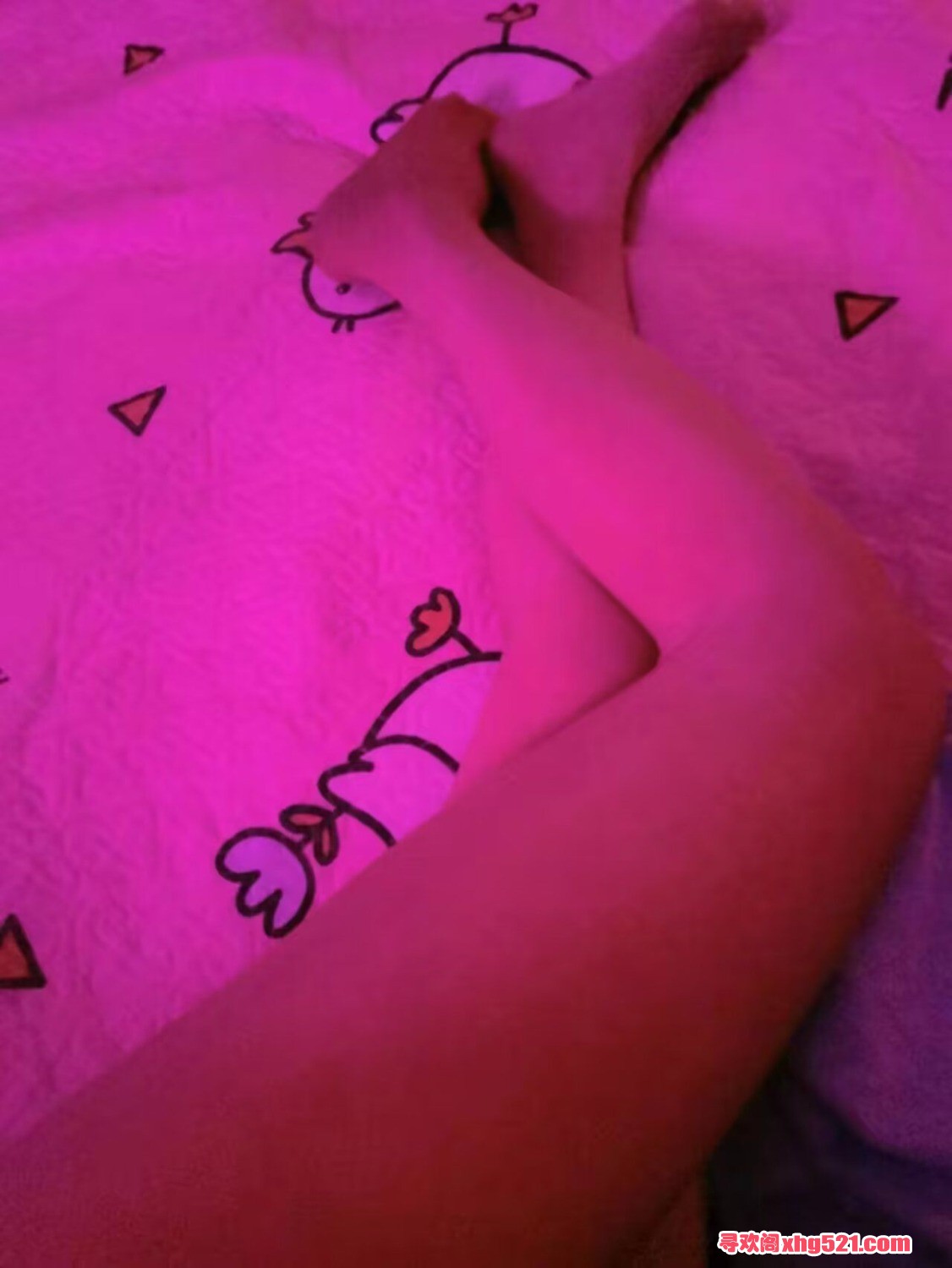 1000145347.jpg